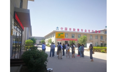 江南大學(xué)、寧夏大學(xué)課題組專家蒞臨伊百盛調(diào)研交流