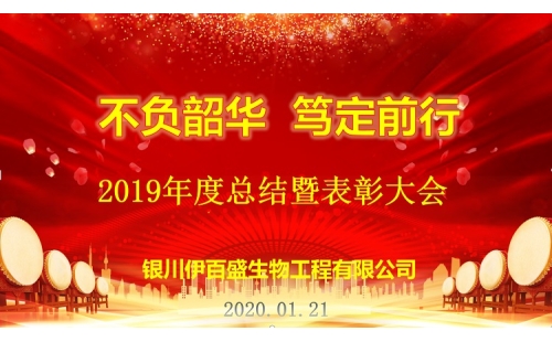 “不負(fù)韶華，篤定前行”2019總結(jié)表彰暨新春年會(huì)圓滿成功！