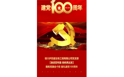 一面旗幟映初心，一顆紅心永向黨